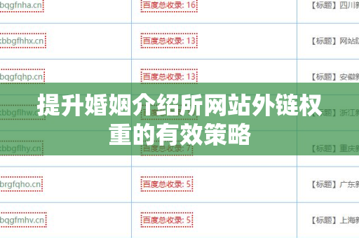 提升婚姻介绍所网站外链权重的有效策略