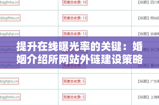 提升在线曝光率的关键：婚姻介绍所网站外链建设策略