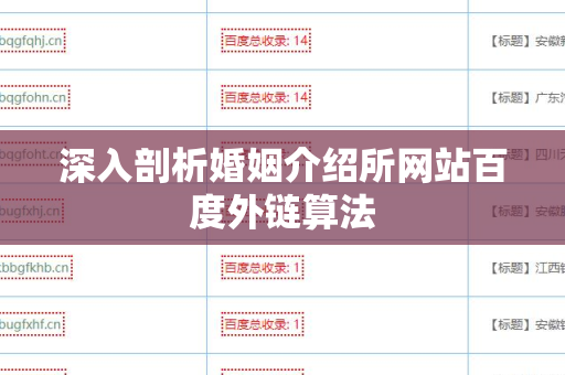 深入剖析婚姻介绍所网站百度外链算法
