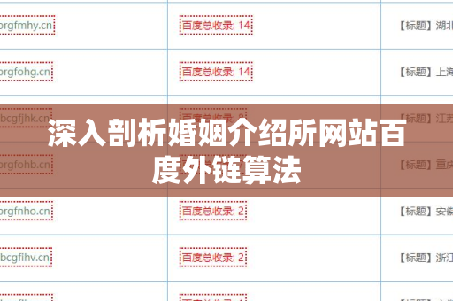 深入剖析婚姻介绍所网站百度外链算法