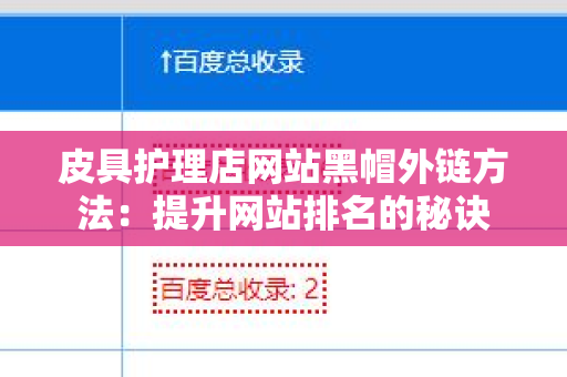 皮具护理店网站黑帽外链方法：提升网站排名的秘诀
