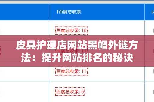皮具护理店网站黑帽外链方法：提升网站排名的秘诀