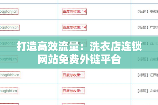 打造高效流量：洗衣店连锁网站免费外链平台