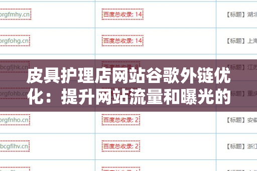 皮具护理店网站谷歌外链优化：提升网站流量和曝光的策略