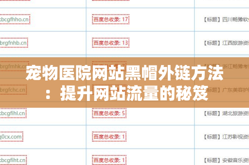 宠物医院网站黑帽外链方法：提升网站流量的秘笈