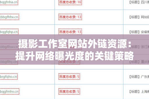 摄影工作室网站外链资源：提升网络曝光度的关键策略