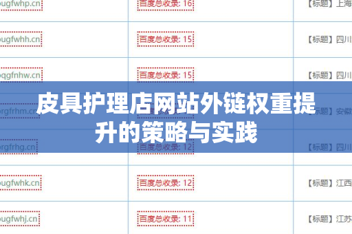 皮具护理店网站外链权重提升的策略与实践