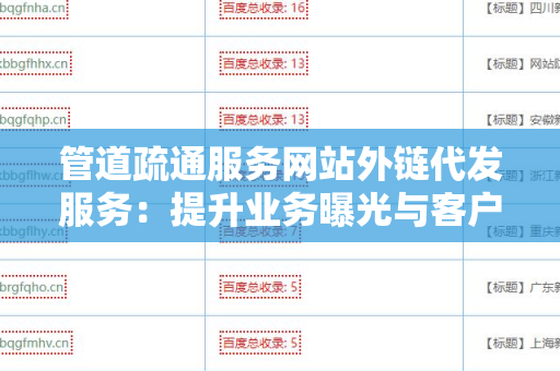 管道疏通服务网站外链代发服务：提升业务曝光与客户获取的有效途径