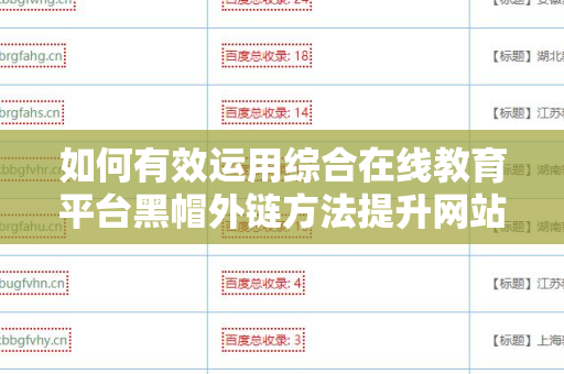 如何有效运用综合在线教育平台黑帽外链方法提升网站排名