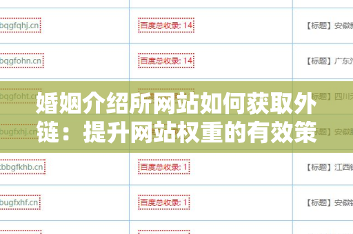 婚姻介绍所网站如何获取外链：提升网站权重的有效策略