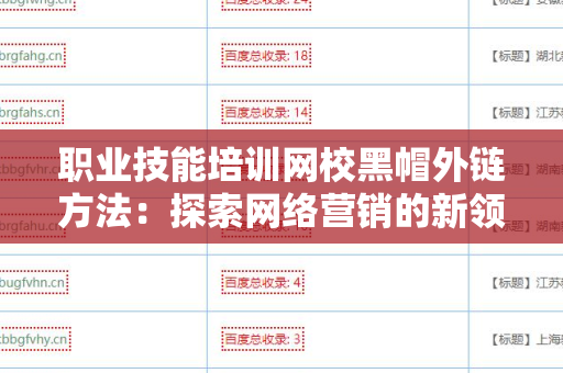职业技能培训网校黑帽外链方法：探索网络营销的新领域