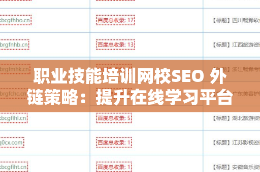 职业技能培训网校SEO 外链策略：提升在线学习平台可见性的关键