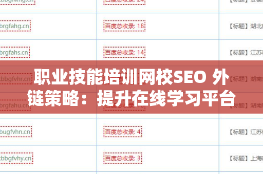 职业技能培训网校SEO 外链策略：提升在线学习平台可见性的关键