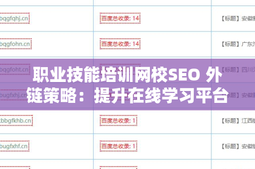 职业技能培训网校SEO 外链策略：提升在线学习平台可见性的关键