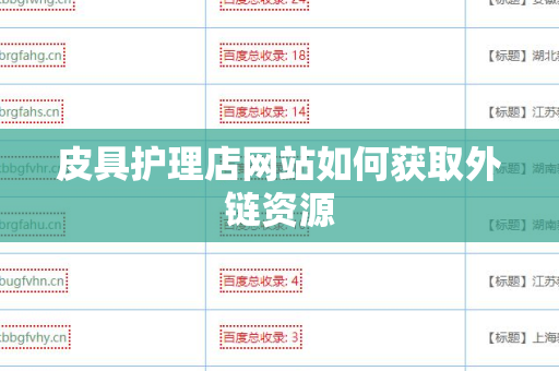 皮具护理店网站如何获取外链资源