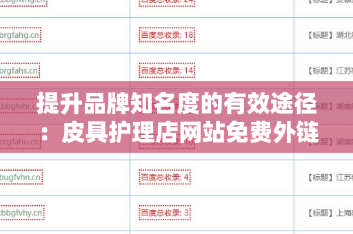 提升品牌知名度的有效途径：皮具护理店网站免费外链平台