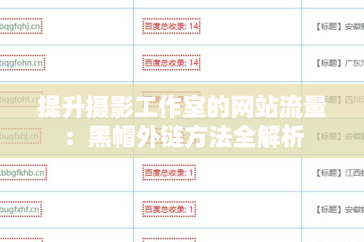 提升摄影工作室的网站流量：黑帽外链方法全解析