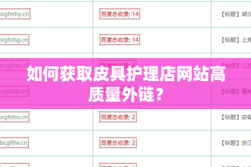如何获取皮具护理店网站高质量外链？