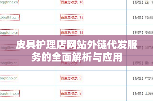 皮具护理店网站外链代发服务的全面解析与应用