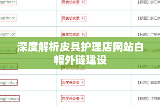 深度解析皮具护理店网站白帽外链建设