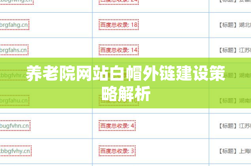 养老院网站白帽外链建设策略解析