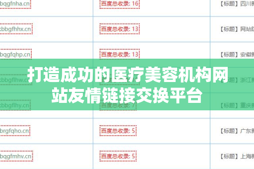 打造成功的医疗美容机构网站友情链接交换平台