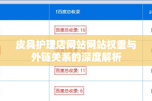 皮具护理店网站网站权重与外链关系的深度解析