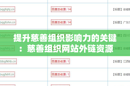 提升慈善组织影响力的关键：慈善组织网站外链资源