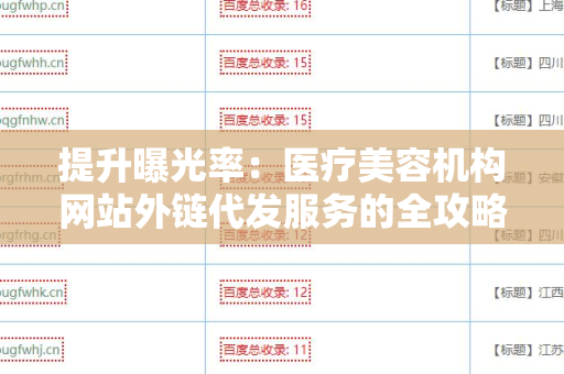 提升曝光率：医疗美容机构网站外链代发服务的全攻略