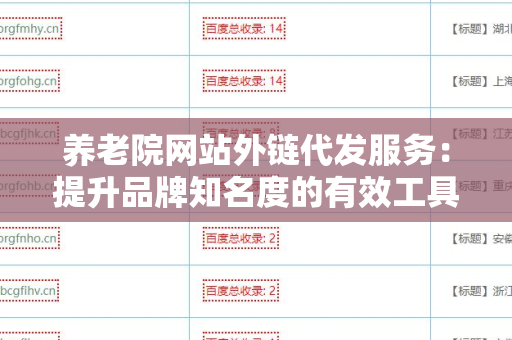 养老院网站外链代发服务：提升品牌知名度的有效工具