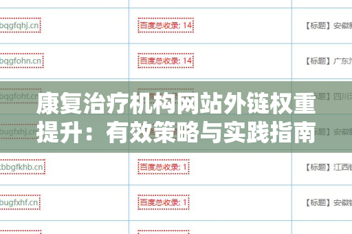 康复治疗机构网站外链权重提升：有效策略与实践指南
