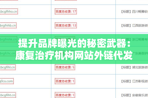 提升品牌曝光的秘密武器：康复治疗机构网站外链代发服务