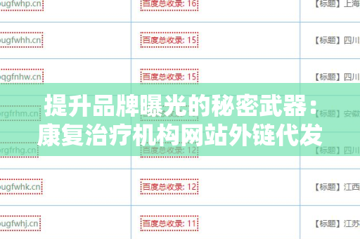 提升品牌曝光的秘密武器：康复治疗机构网站外链代发服务