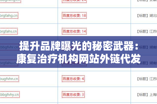 提升品牌曝光的秘密武器：康复治疗机构网站外链代发服务
