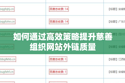 如何通过高效策略提升慈善组织网站外链质量