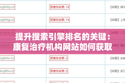 提升搜索引擎排名的关键：康复治疗机构网站如何获取外链