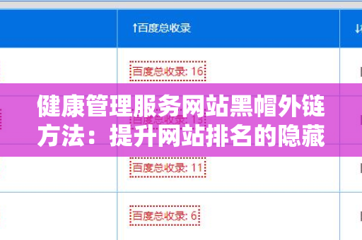 健康管理服务网站黑帽外链方法：提升网站排名的隐藏策略