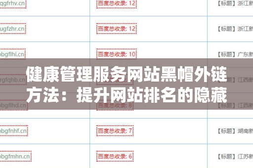 健康管理服务网站黑帽外链方法：提升网站排名的隐藏策略