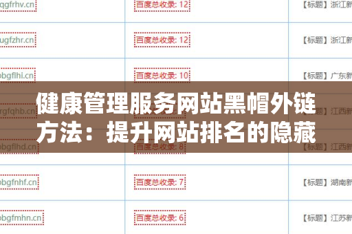 健康管理服务网站黑帽外链方法：提升网站排名的隐藏策略