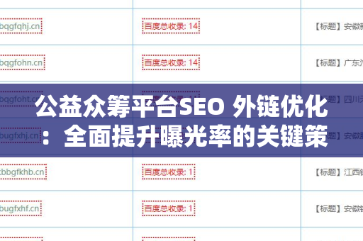 公益众筹平台SEO 外链优化：全面提升曝光率的关键策略