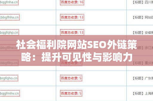 社会福利院网站SEO外链策略：提升可见性与影响力