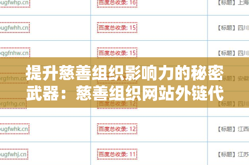 提升慈善组织影响力的秘密武器：慈善组织网站外链代发服务