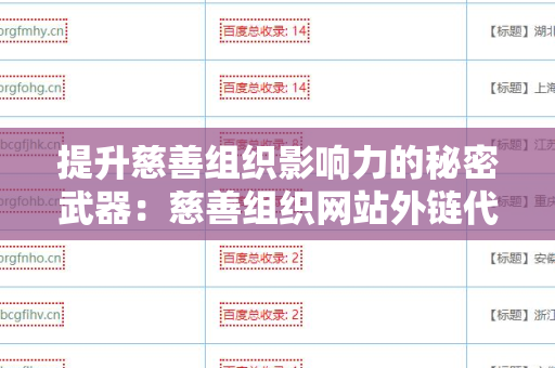 提升慈善组织影响力的秘密武器：慈善组织网站外链代发服务