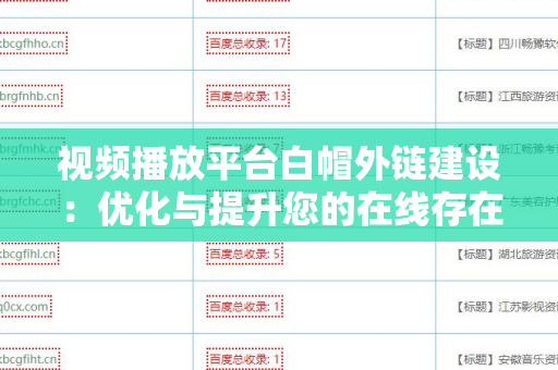 视频播放平台白帽外链建设：优化与提升您的在线存在