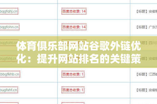 体育俱乐部网站谷歌外链优化：提升网站排名的关键策略