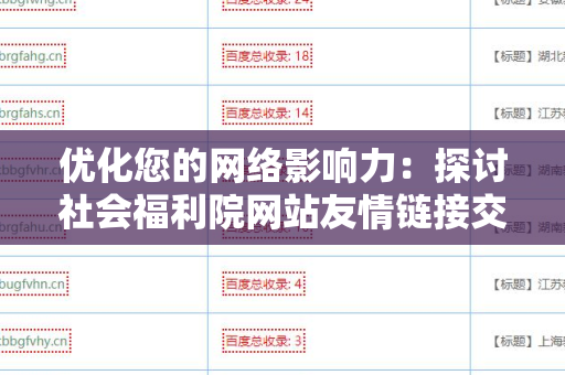 优化您的网络影响力：探讨社会福利院网站友情链接交换平台