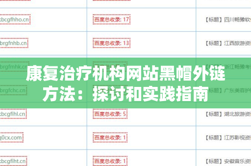 康复治疗机构网站黑帽外链方法：探讨和实践指南