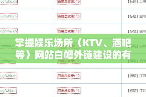 掌握娱乐场所（KTV、酒吧等）网站白帽外链建设的有效策略