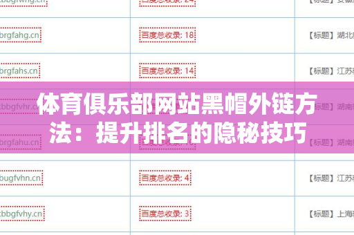 体育俱乐部网站黑帽外链方法：提升排名的隐秘技巧