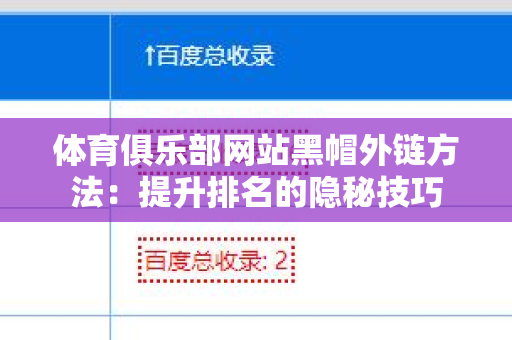 体育俱乐部网站黑帽外链方法：提升排名的隐秘技巧